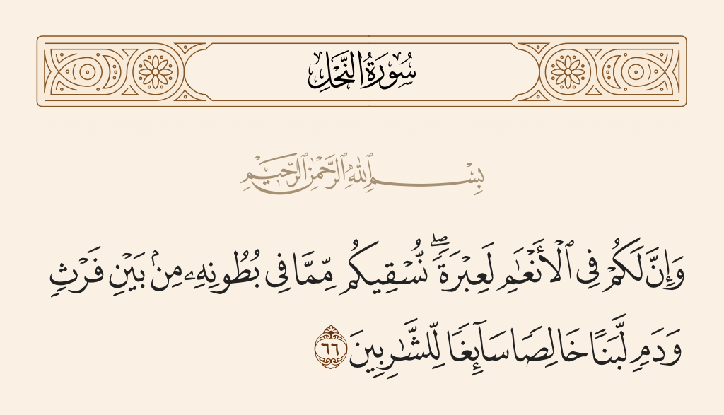 سورة النحل الآية رقم 66