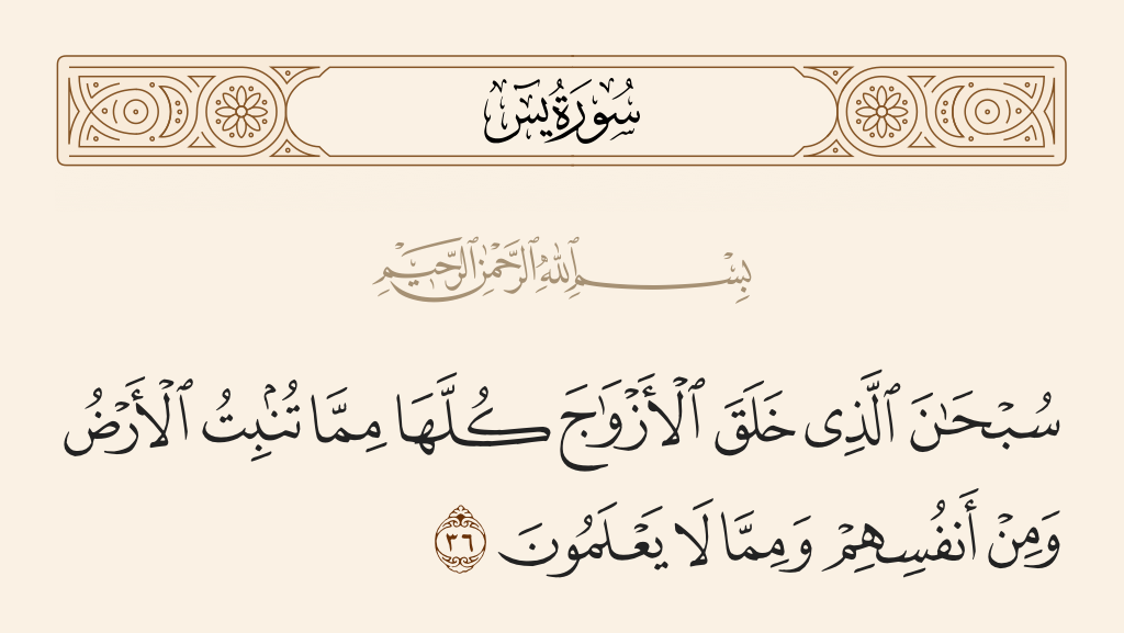 سورة يس الآية رقم 36
